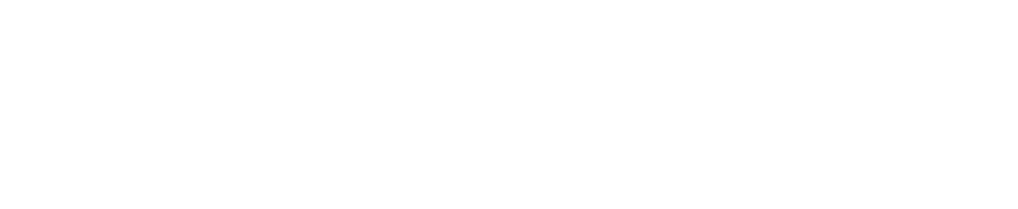 Wightlink Logo White